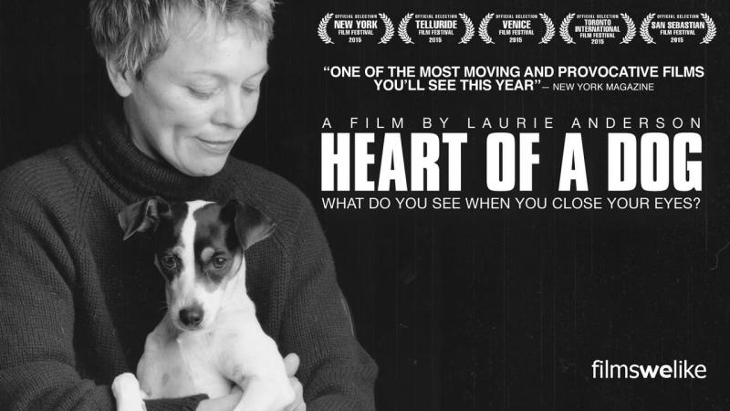 HEART OF A DOG