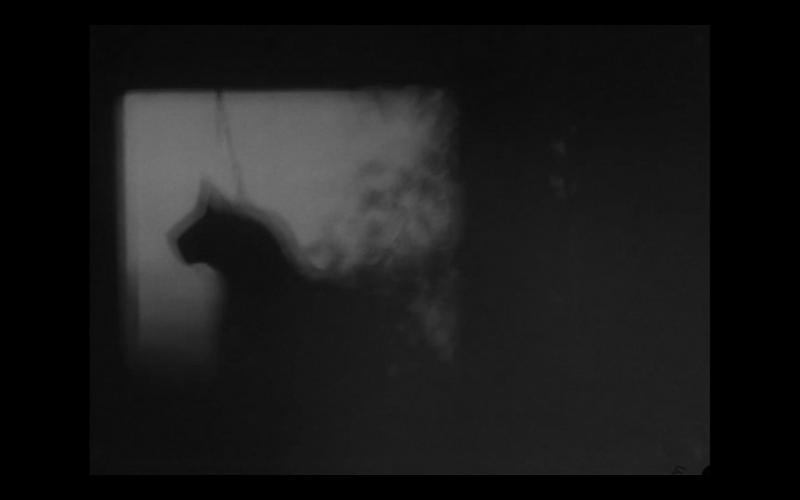 senses film
