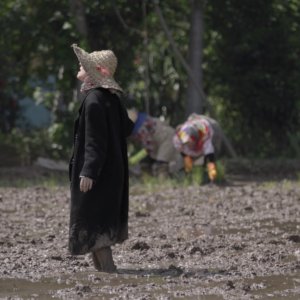 Scarecrow ssff26_300x300